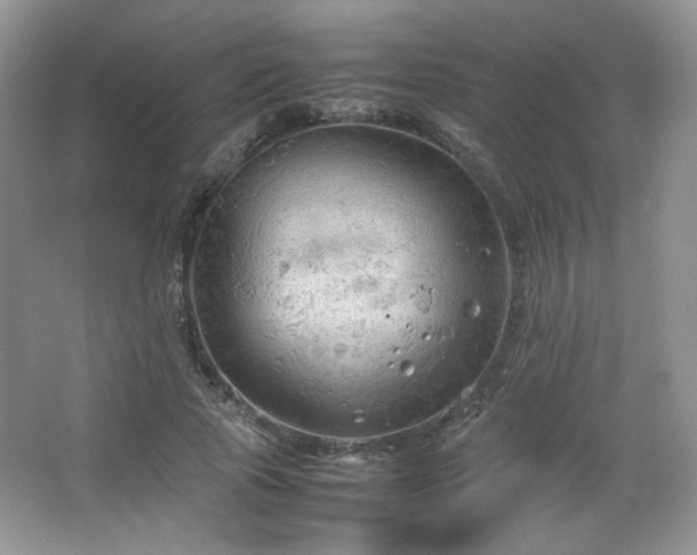 X0000067500737200604071226