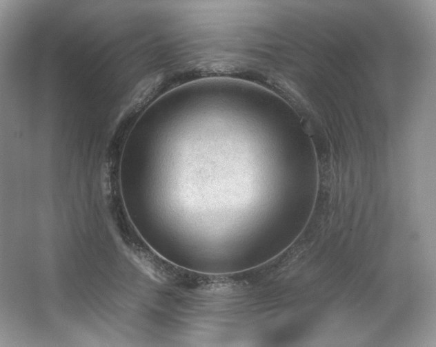 X0000067500738200604071226