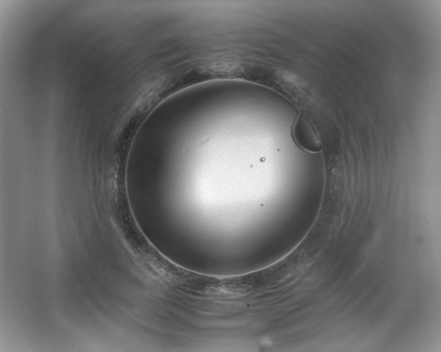 X0000067500739200604071226