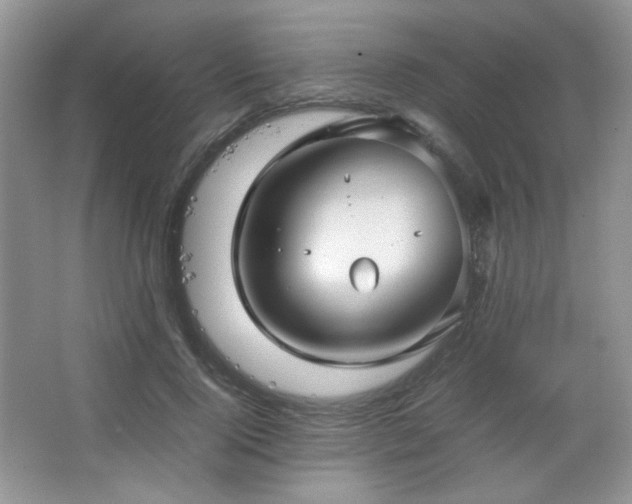 X0000067500740200604071226