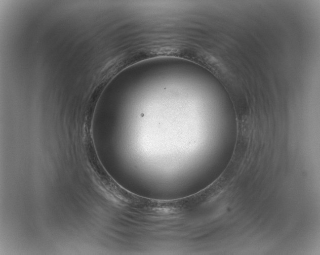 X0000067500741200604071226