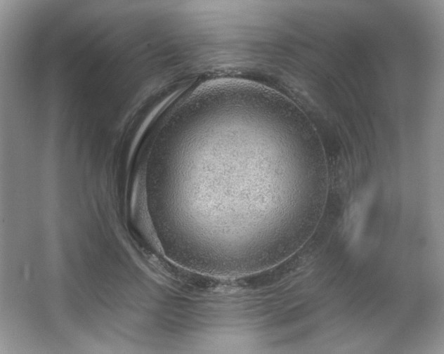 X0000067500742200604071226