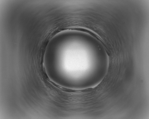 X0000067500743200604071226