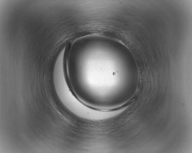 X0000067500744200604071226