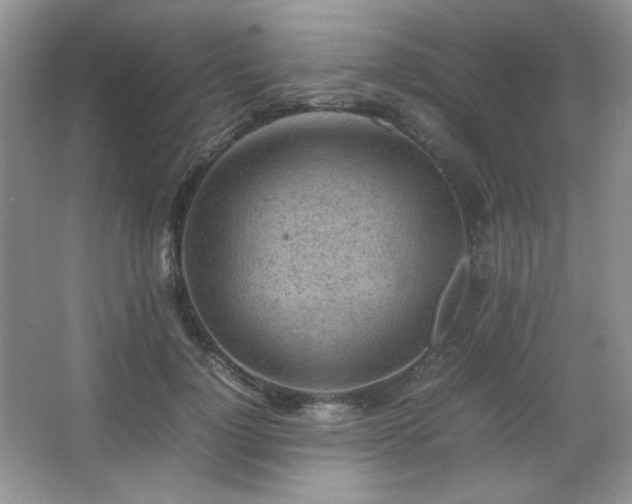 X0000067500748200604071226