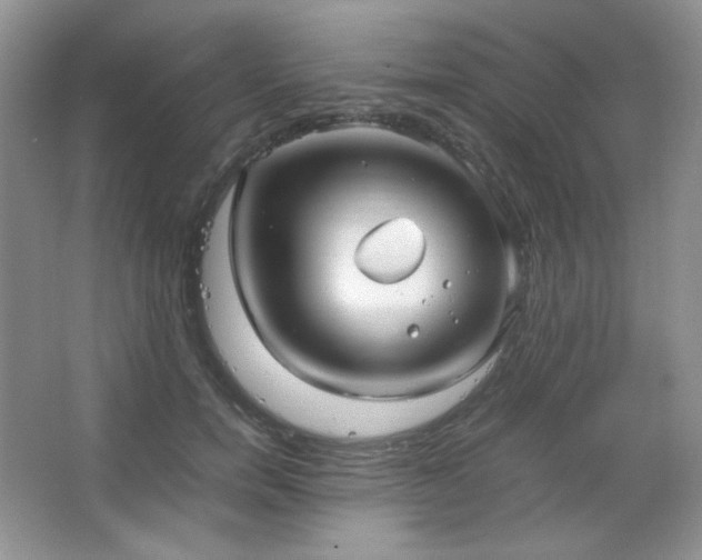 X0000067500750200604071226