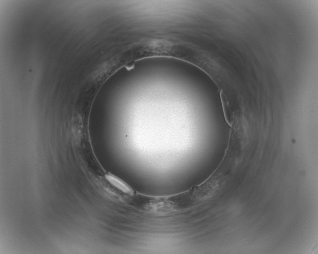 X0000067500752200604071226