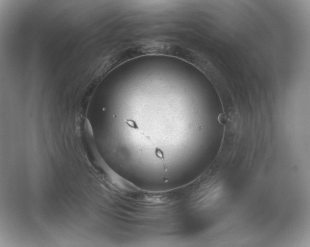 X0000067500753200604071226