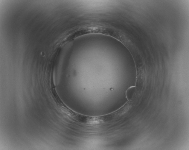 X0000067500754200604071226