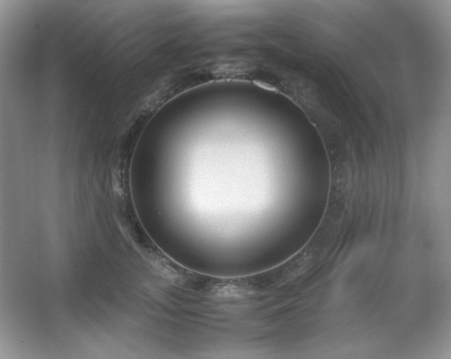 X0000067500755200604071226