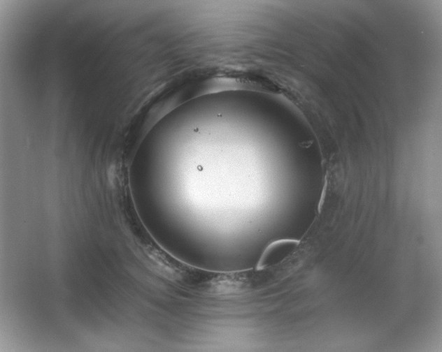 X0000067500756200604071226