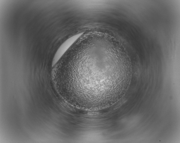 X0000067500758200604071226