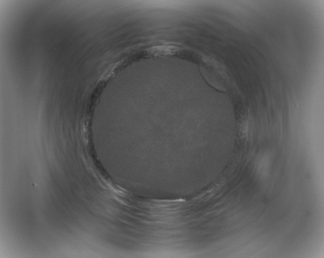 X0000067500759200604071226