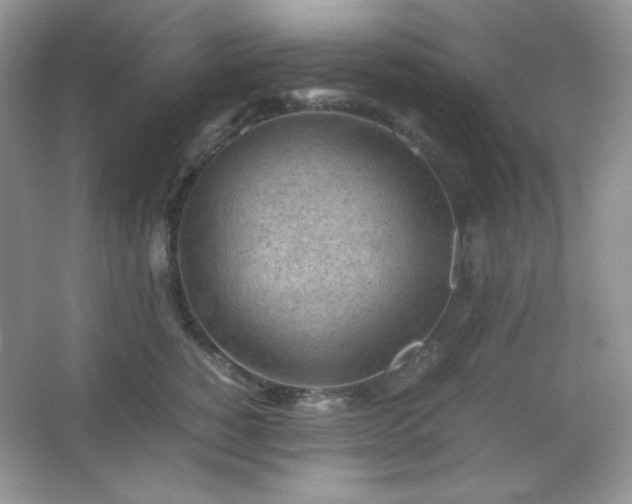 X0000067500760200604071226