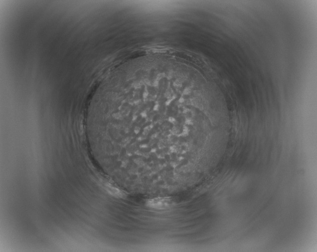 X0000067500761200604071226