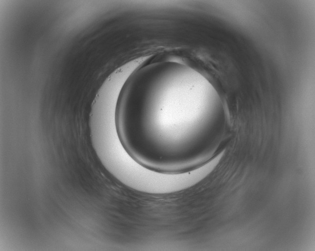 X0000067500763200604071226