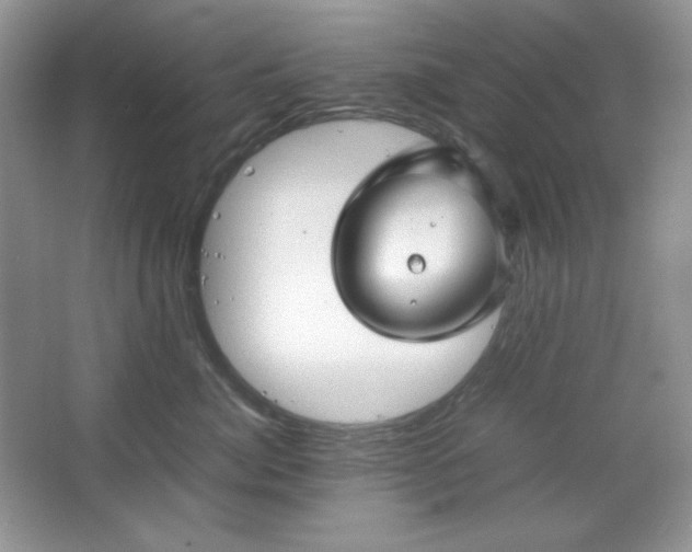 X0000067500764200604071226