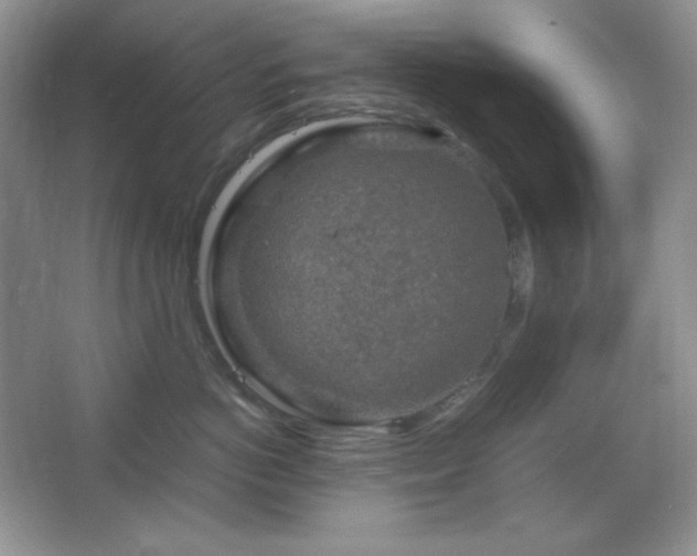 X0000067500766200604071226