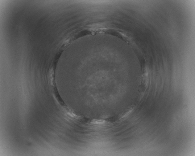 X0000067500767200604071226