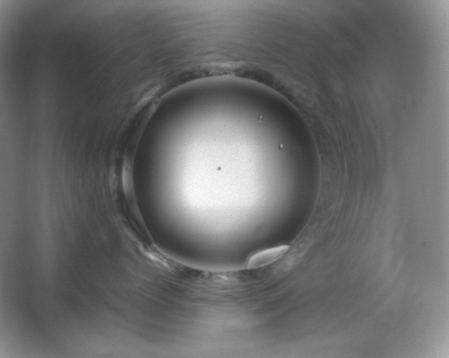 X0000067500768200604071226