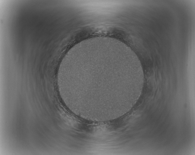 X0000067500769200604071225