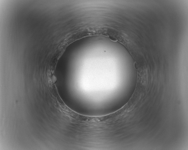 X0000067500770200604071225