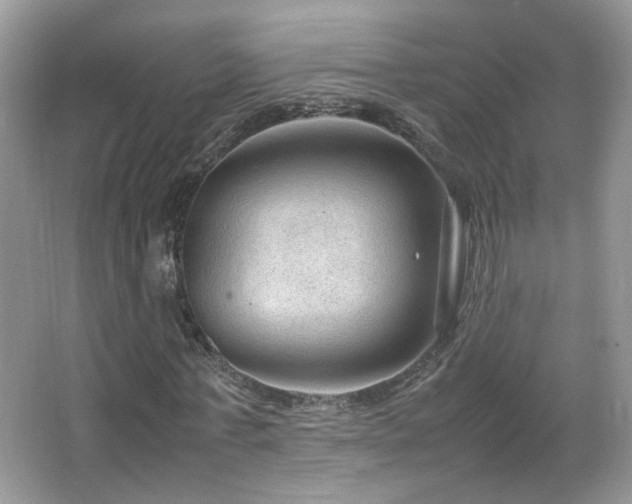 X0000067500771200604071225