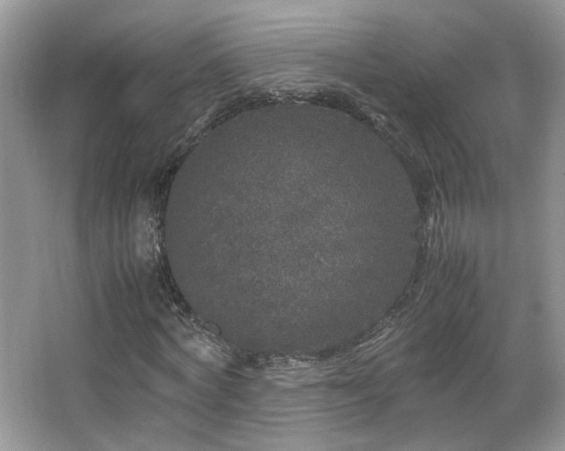 X0000067500772200604071225