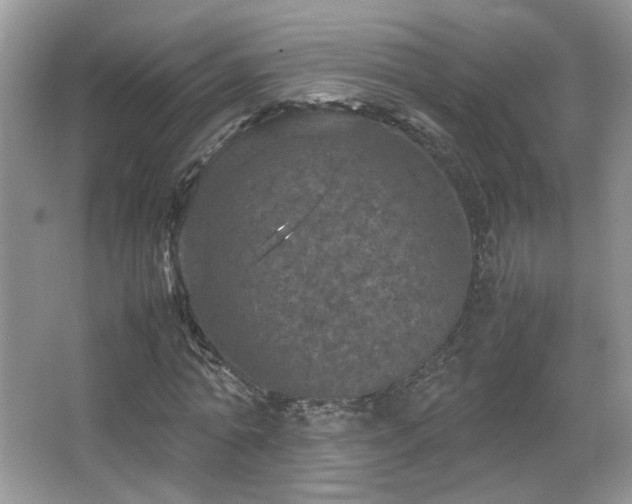 X0000067500774200604071225