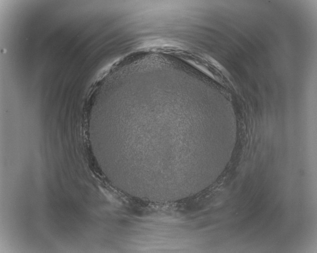 X0000067500775200604071225