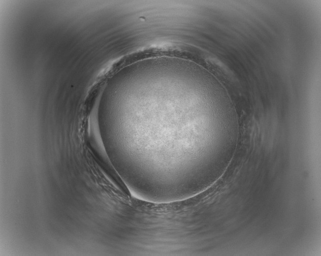 X0000067500776200604071225