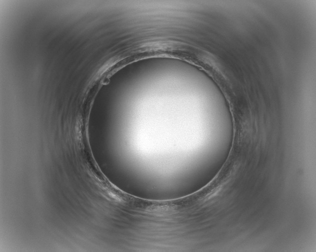 X0000067500778200604071225