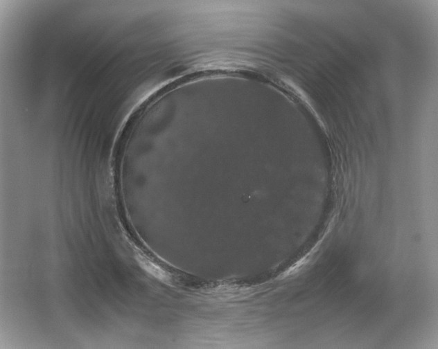 X0000067500779200604071225