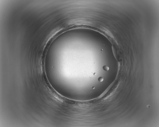 X0000067500782200604071225