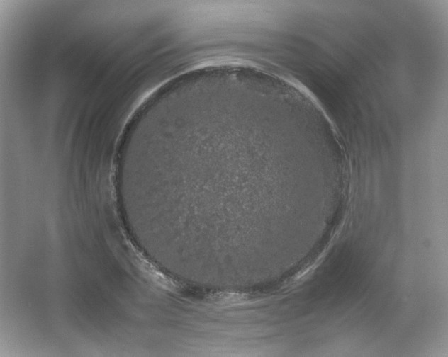 X0000067500783200604071225