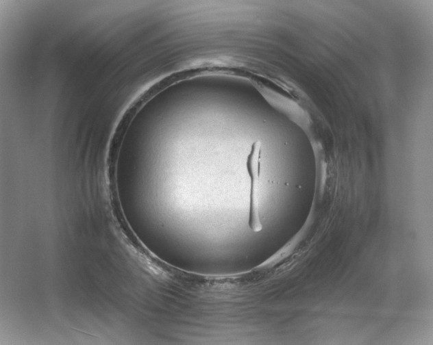 X0000067500784200604071225