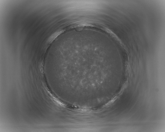 X0000067500785200604071225