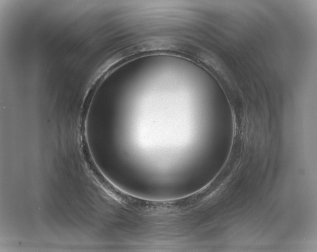 X0000067500786200604071225