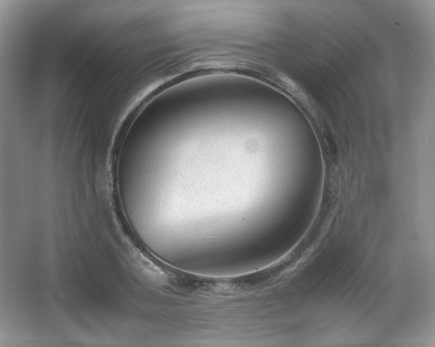 X0000067500787200604071225