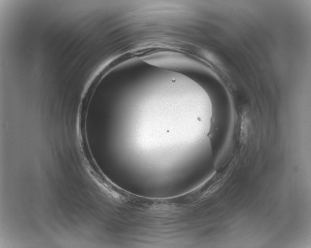 X0000067500788200604071225