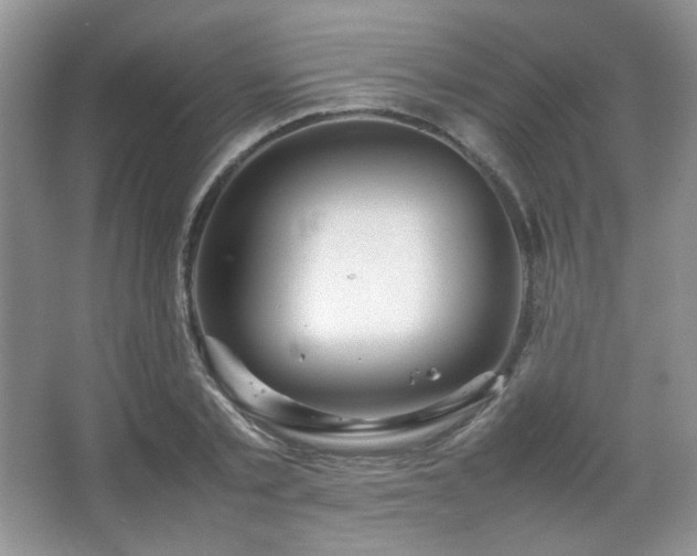 X0000067500789200604071225