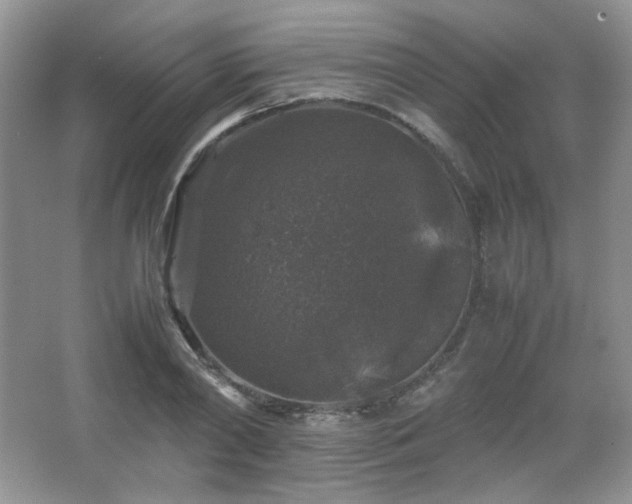 X0000067500790200604071225