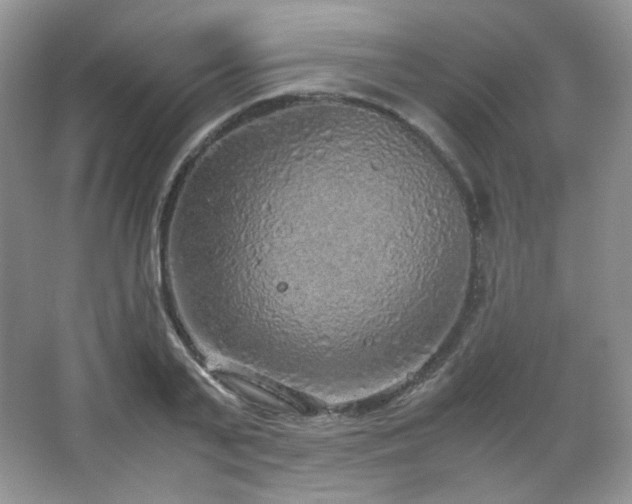 X0000067500791200604071225