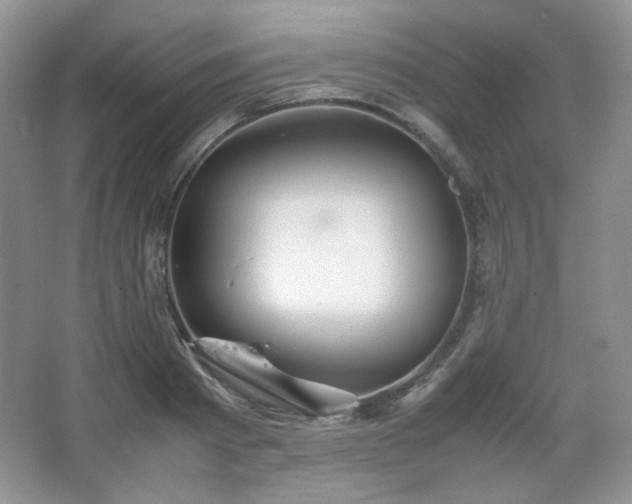 X0000067500793200604071225