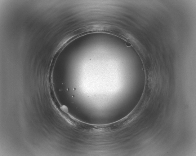 X0000067500794200604071225