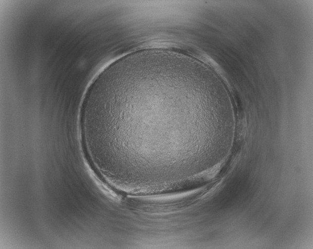 X0000067500795200604071225