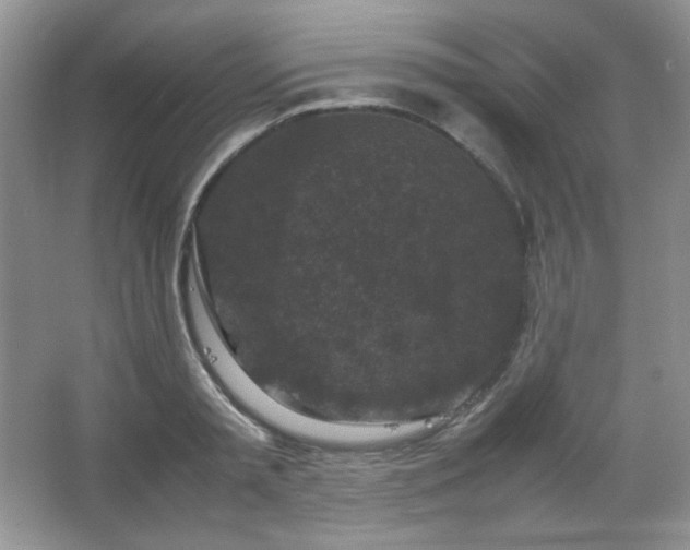 X0000067500797200604071225