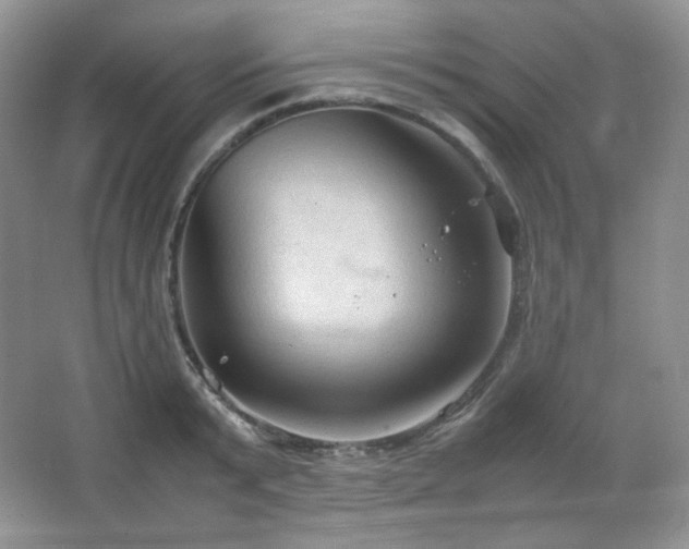 X0000067500799200604071225