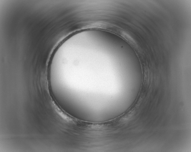 X0000067500800200604071225