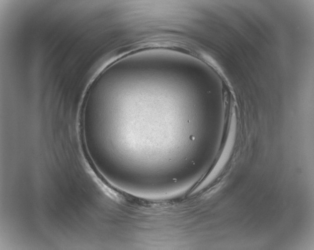 X0000067500803200604071225